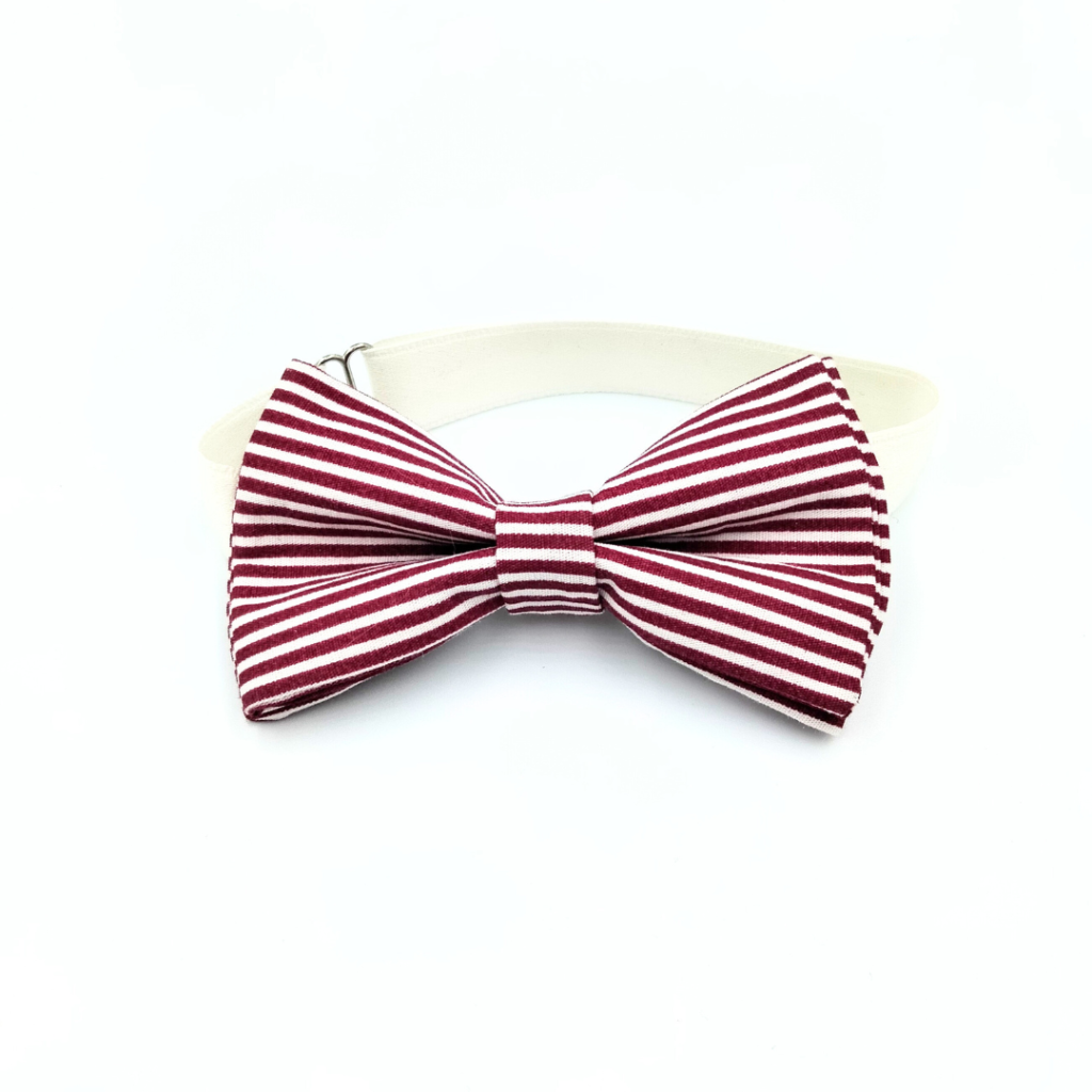 Noeud papillon enfant rouge et blanc rayé